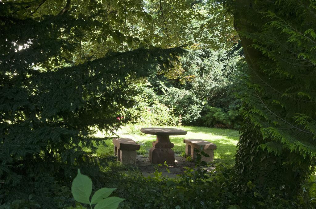 Karolingerhof Hotell Kröv Exteriör bild
